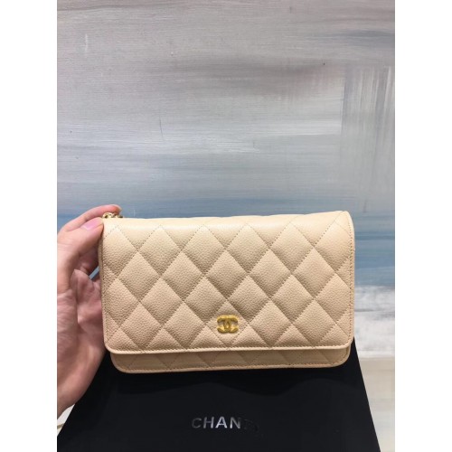 Chanel Bag 253